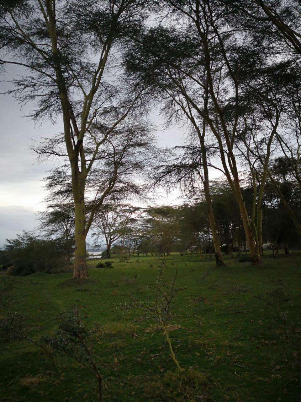 Sarandy Holiday Homes Naivasha Luaran gambar