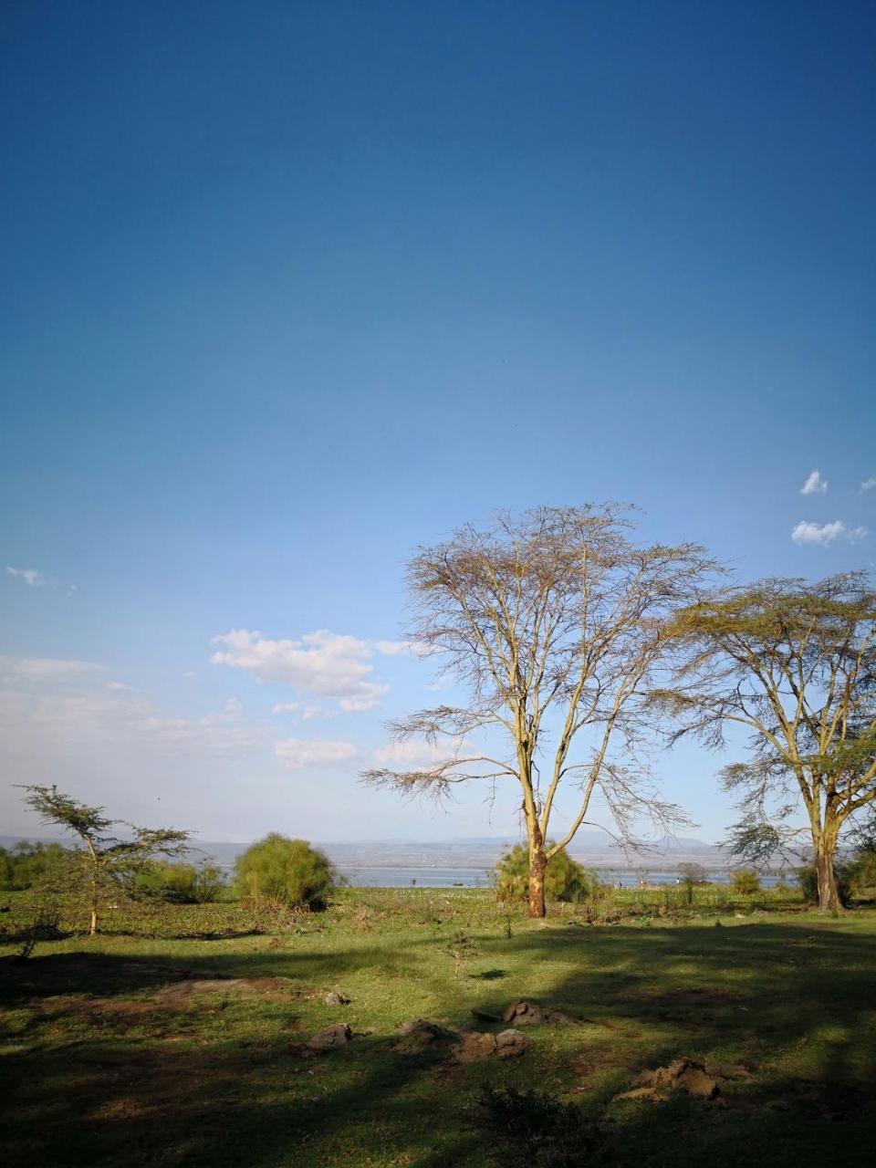 Sarandy Holiday Homes Naivasha Luaran gambar